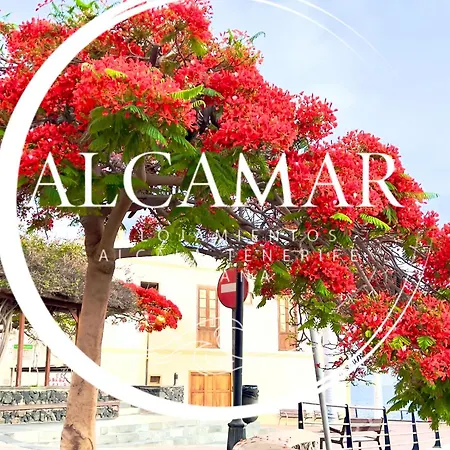 Alcamar Privada Con Areas De Sala, Cocina Y Bano Que Se Comparten Cerca Al Mar! * Alcala (Tenerife)