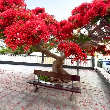 Alquiler De Privada Con Areas De Sala, Cocina Y Bano Que Se Comparten Cerca Al Mar!